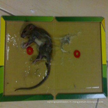 Piège à souris Anti souris Rat avec personnalisé